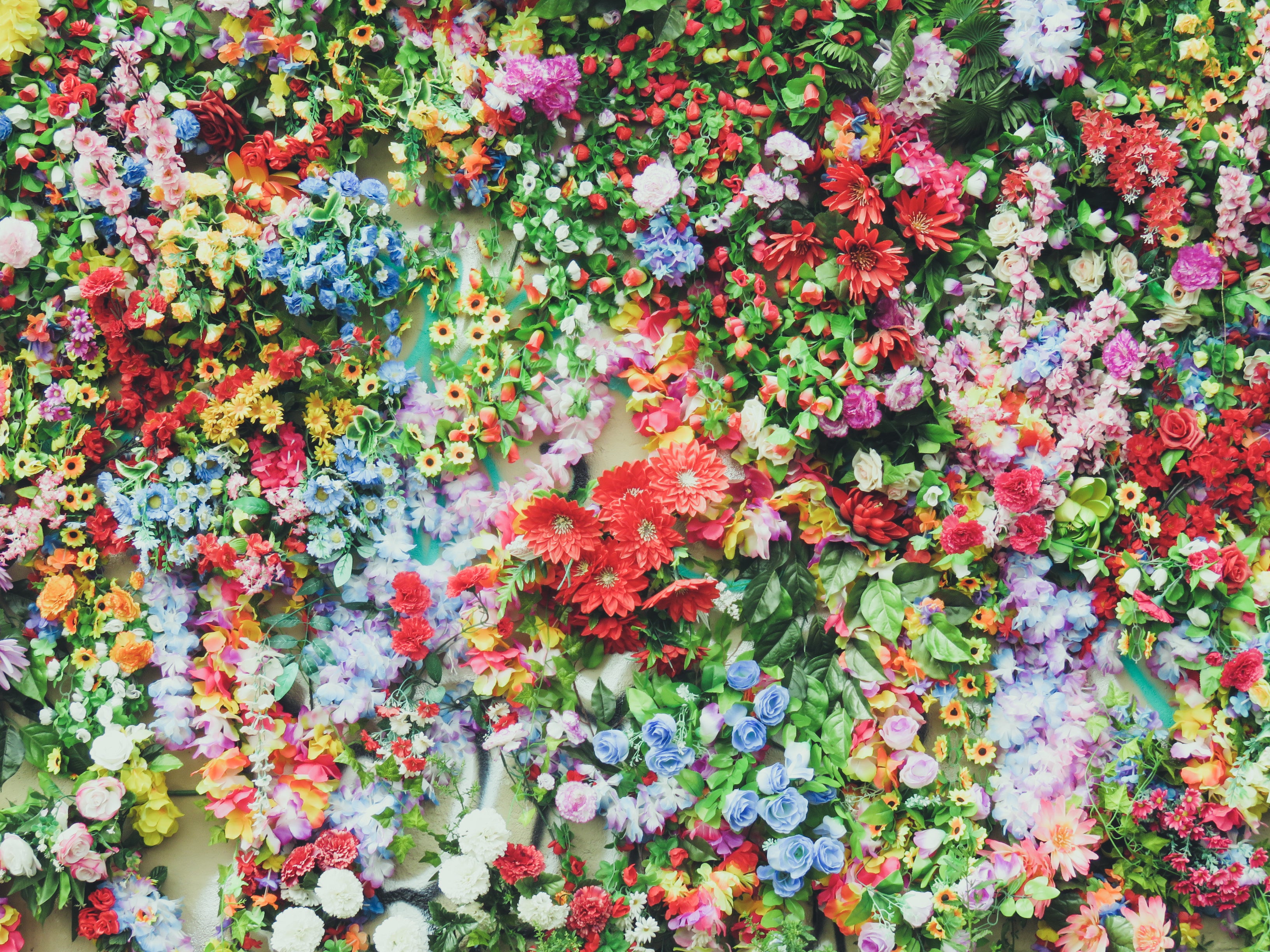 floral-background.jpg