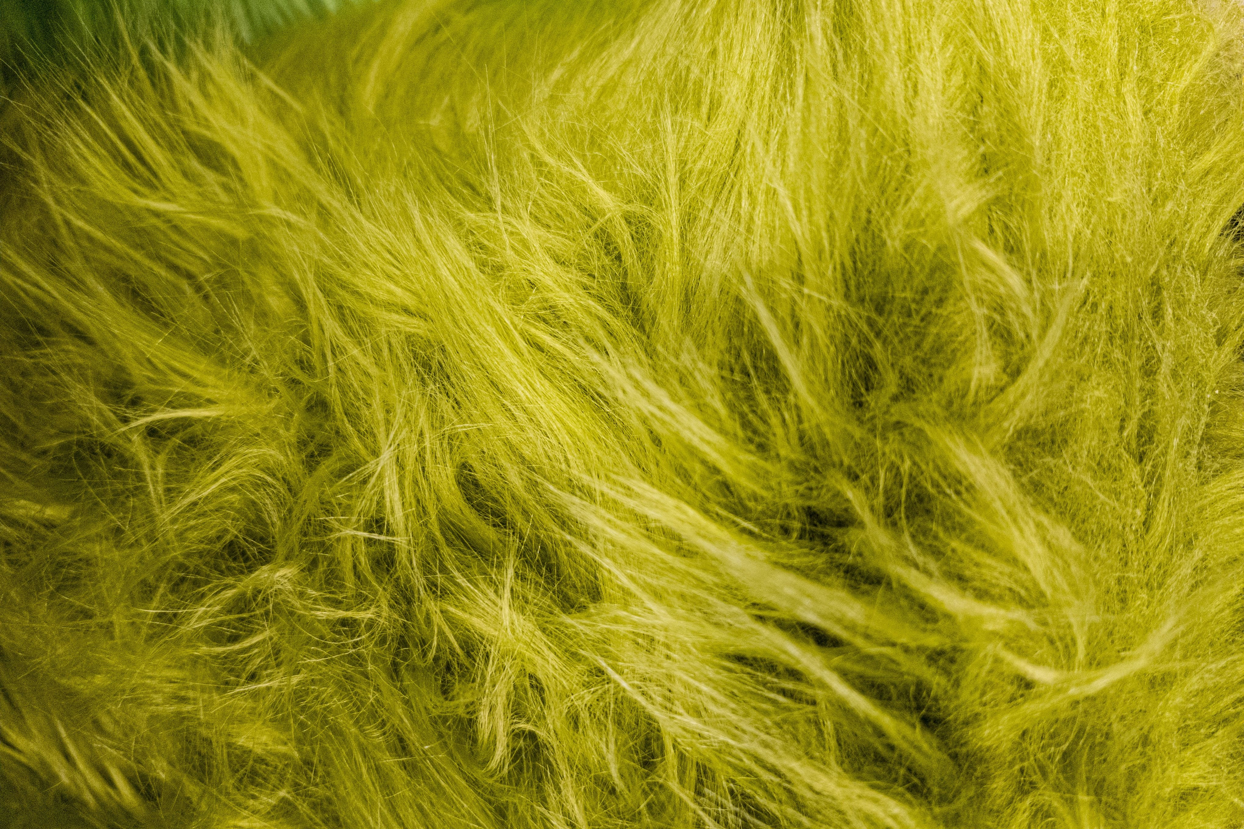 pexels-peppered-pixels-design-studio-1782104880-29442624.jpg